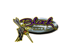 About a name, Why Blackneedle?